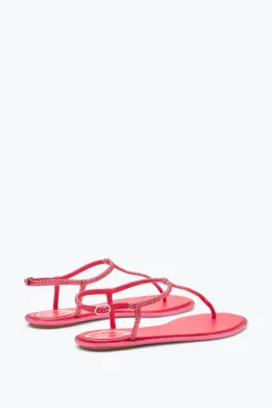 Flat^Rene Caovilla Sandalo Diana Corallo Con Cristalli 10 Rosa