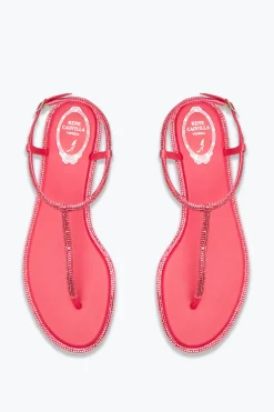 Flat^Rene Caovilla Sandalo Diana Corallo Con Cristalli 10 Rosa