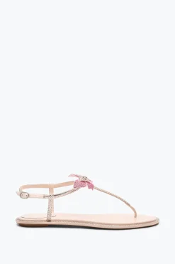 Per Le Invitate|Flat^Rene Caovilla SANDALO FLAT FAIRY 10 Rosa
