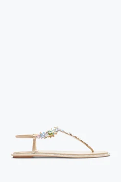 Per Le Invitate|Flat^Rene Caovilla Sandalo Infradito Eden 10 Nude