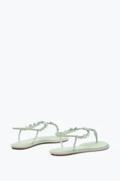 Per Le Invitate|Flat^Rene Caovilla SANDALO INFRADITO EDEN 10 Verde menta